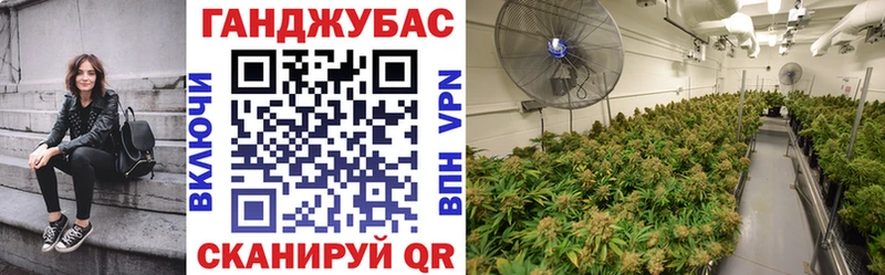 Шишки марихуана Ganja  купить наркоту  блэк спрут зеркало  Мичуринск 
